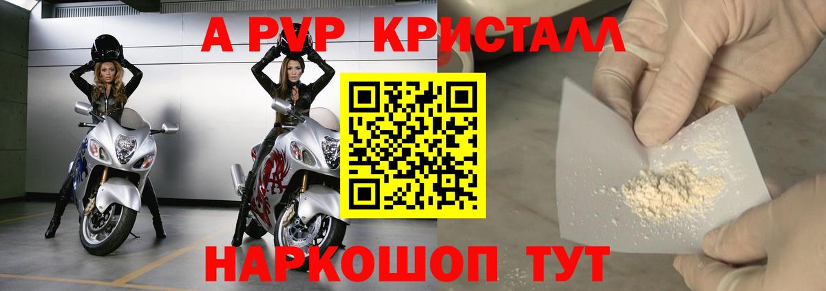 Альфа ПВП СК Майкоп