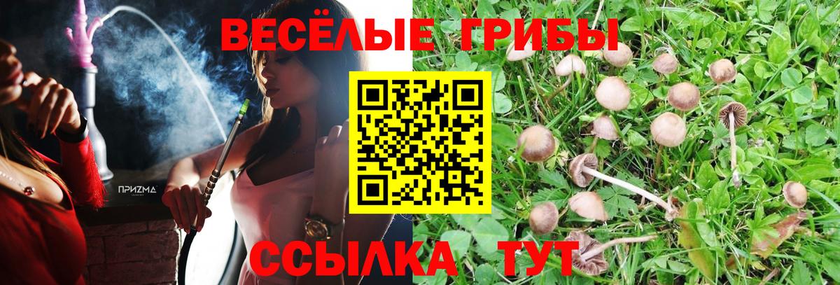 Майкоп  Галлюциногенные грибы Magic Shrooms  закладка  Вход с VPN  Галлюциногенные грибы мухоморы 